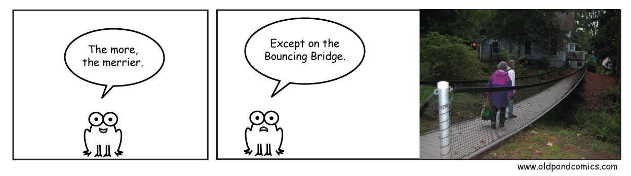 Seabeck boucing bridge