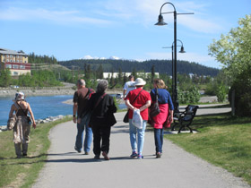 Ginko walk at Haiku Canada 2016