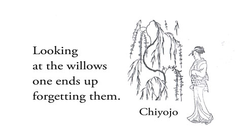 chiyo-ni haiku willows